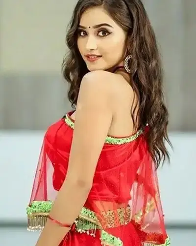 Call Girls Service Bayana